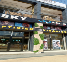 Optique Medical   Dl...