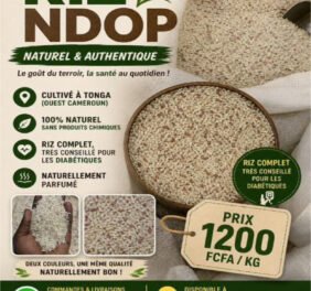 RIZ NDOP Naturel et ...