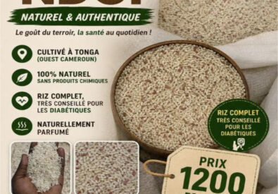 RIZ NDOP Naturel et ...