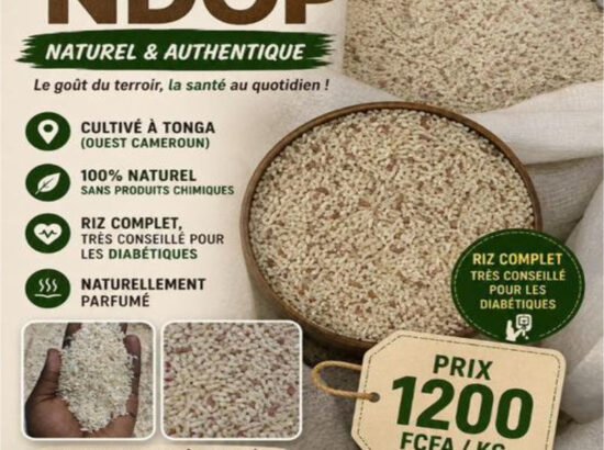 RIZ NDOP Naturel et Authentique. NDOGBON (Douala) Contact : 693144512. 