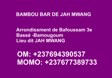 BAMBOU BAR DE JAH MWANG