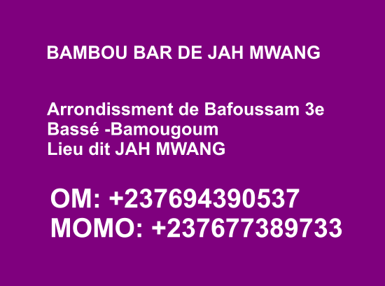 BAMBOU BAR DE JAH MWANG 